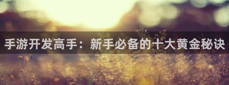 28大神怎么上不去了：手游開發高手：新手必備的十大黃金秘訣